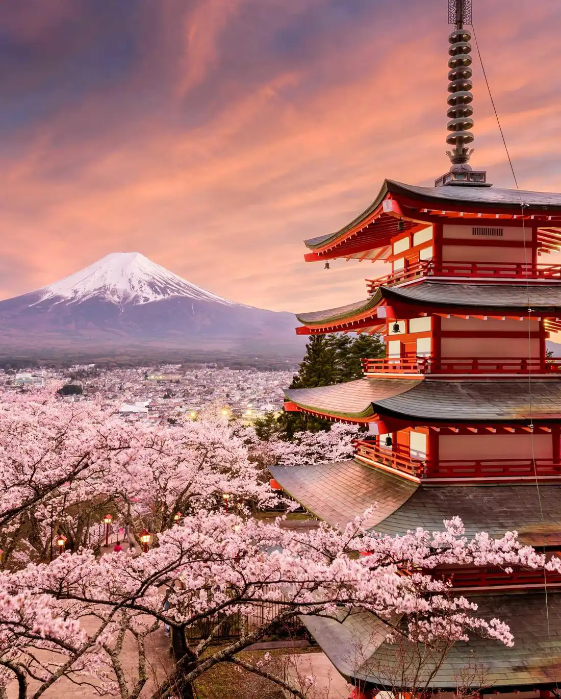 Voyage sur mesure au Japon
