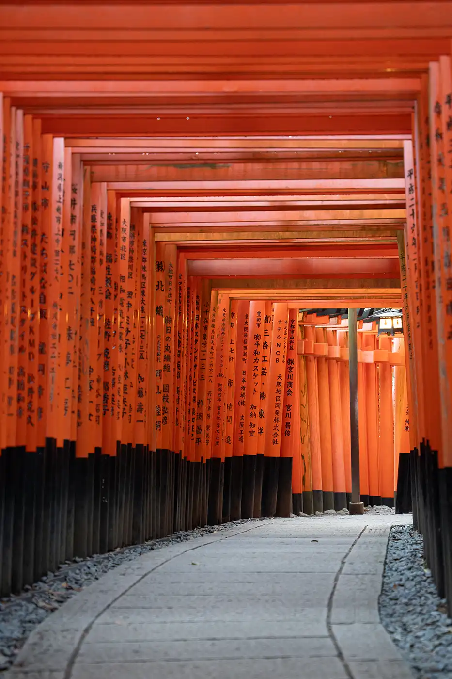 Avant application du preset Inari Glow