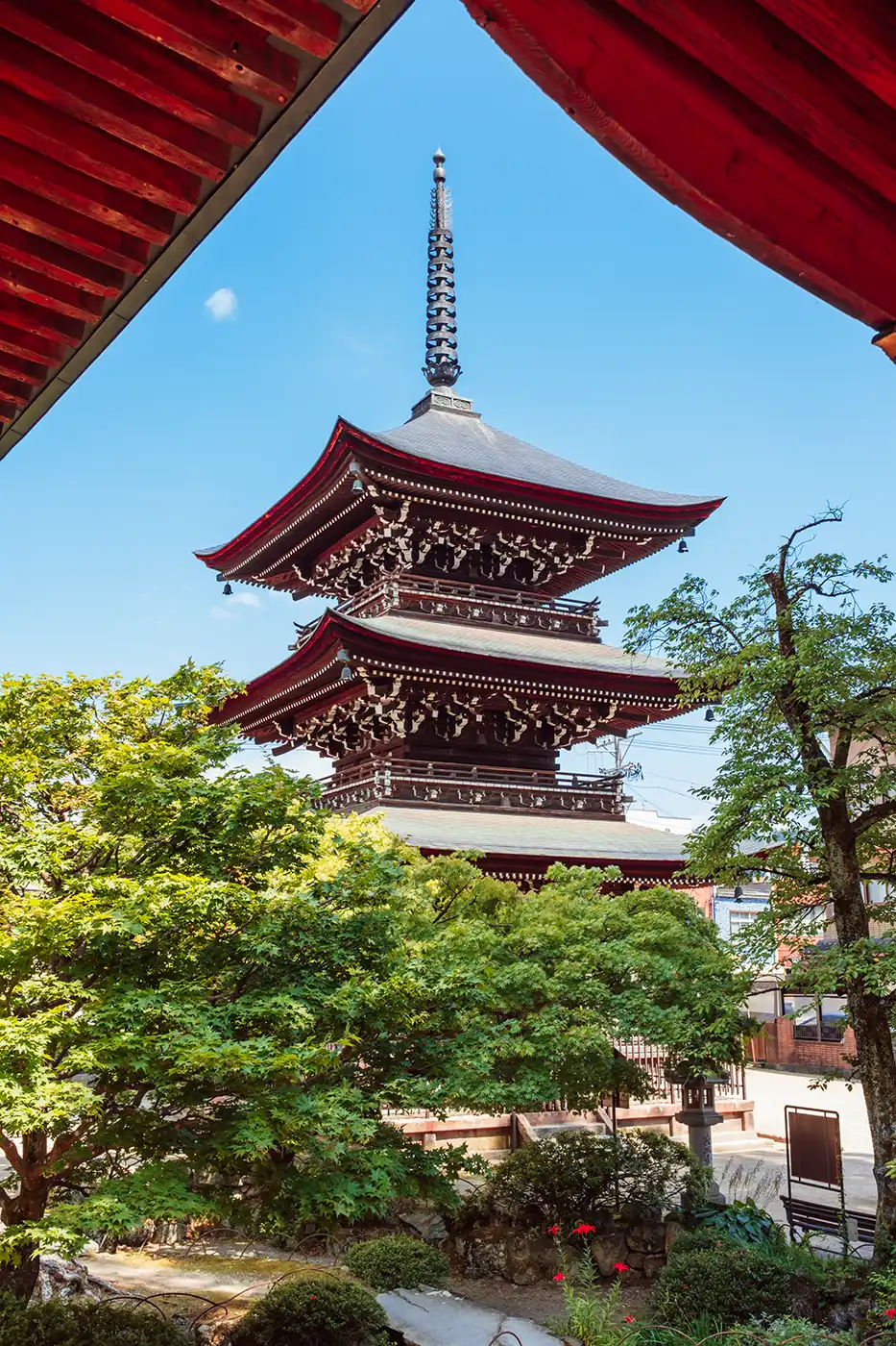 Après application du preset Tokyo Soft