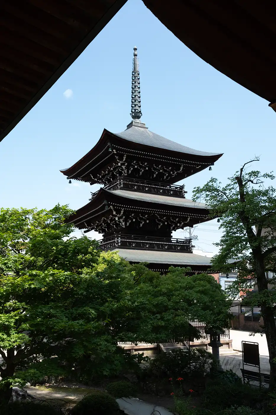 Avant application du preset Tokyo Soft